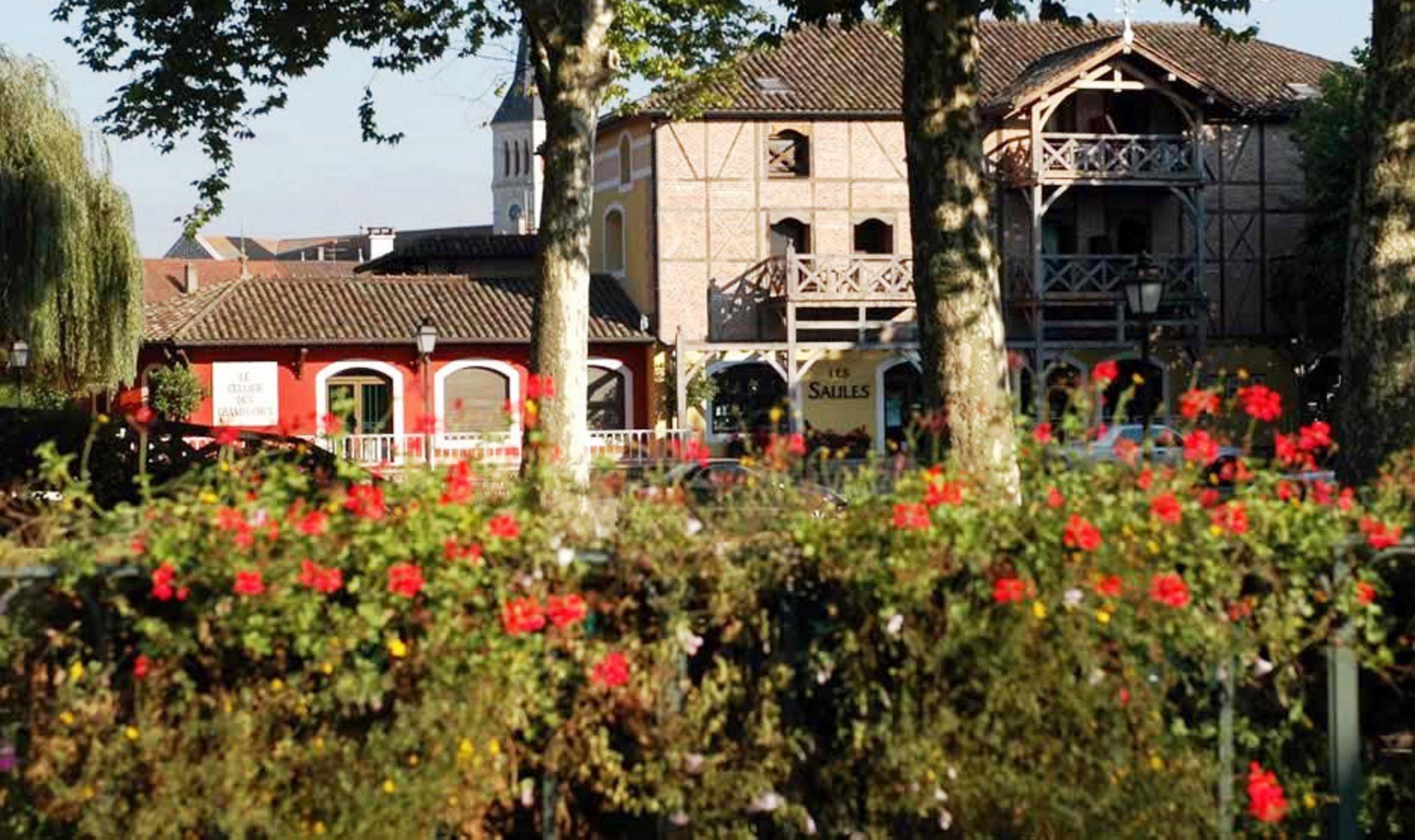 Les Saules Parc & Spa - Teritoria Vonnas Esterno foto